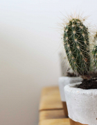 4 Reasons To Visit Benahavis, Spain