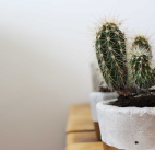5 Ways To Make Your House A Relaxing Place To Be
