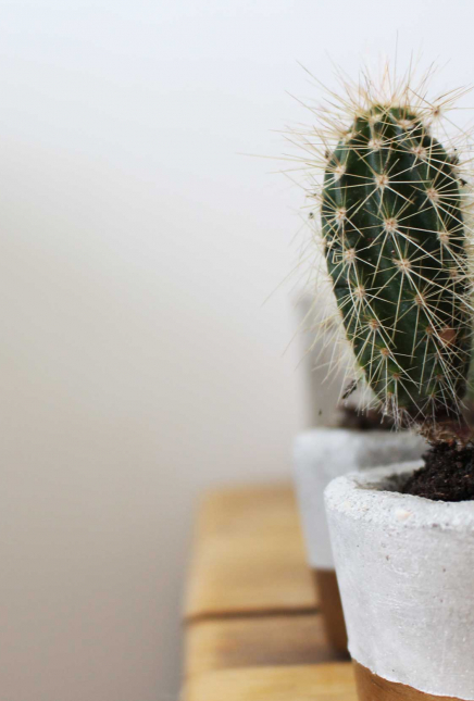 5 Ways To Make Your House A Relaxing Place To Be