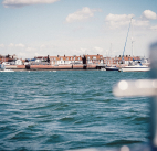 Wildlife Watching With Charter Discovery
