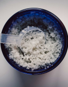 Wildlife Watching With Charter Discovery