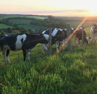 How To Turn A Bad Day Into A Good Day