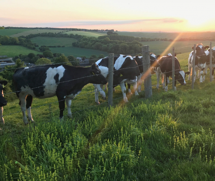 How To Turn A Bad Day Into A Good Day