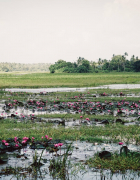 Why Have I Lost My Motivation?