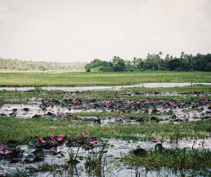 How To Transition From A Fixed To Growth Mindset