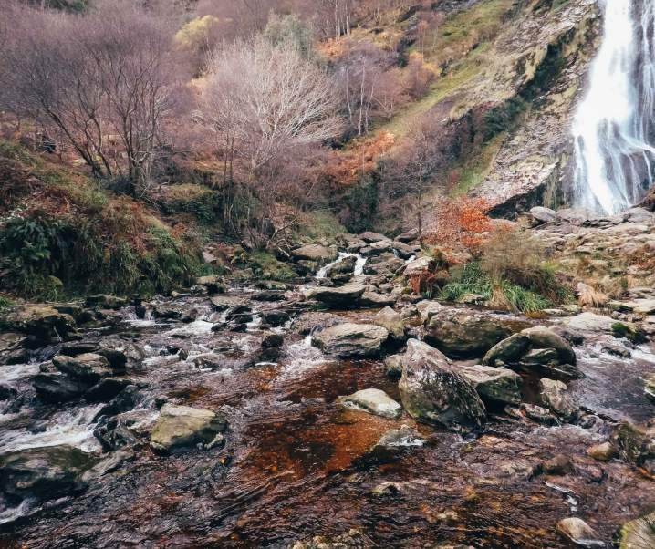 Are You Too Stressed?