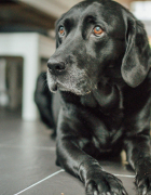 How To Stop Night-Time Anxiety