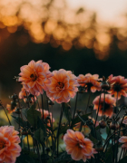 How it feels to be pregnant during the coronavirus pandemic