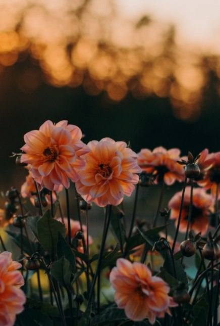 The positive life changes I’ll be taking from the coronavirus lockdown