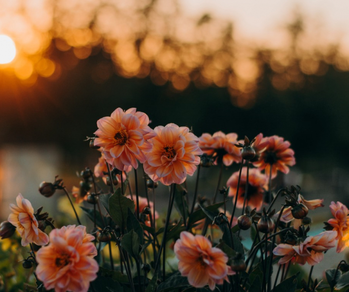 The positive life changes I’ll be taking from the coronavirus lockdown