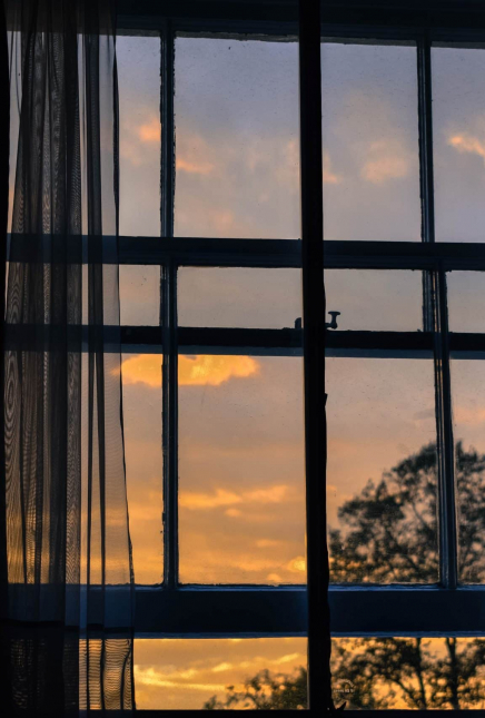 I admit it; I have my fears about coming out of lockdown