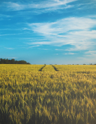 How it feels to become a mum