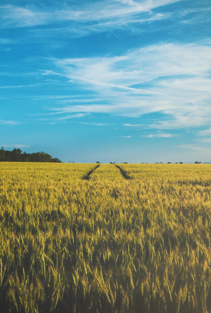 How to enjoy the happiness of the pursuit