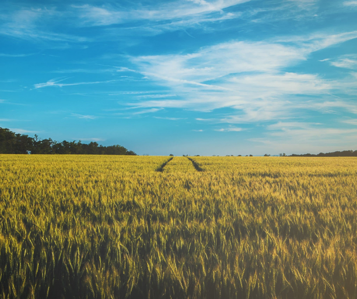 How to enjoy the happiness of the pursuit