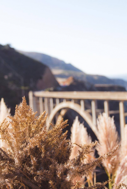 Why do people want us to be successful, but not too successful?