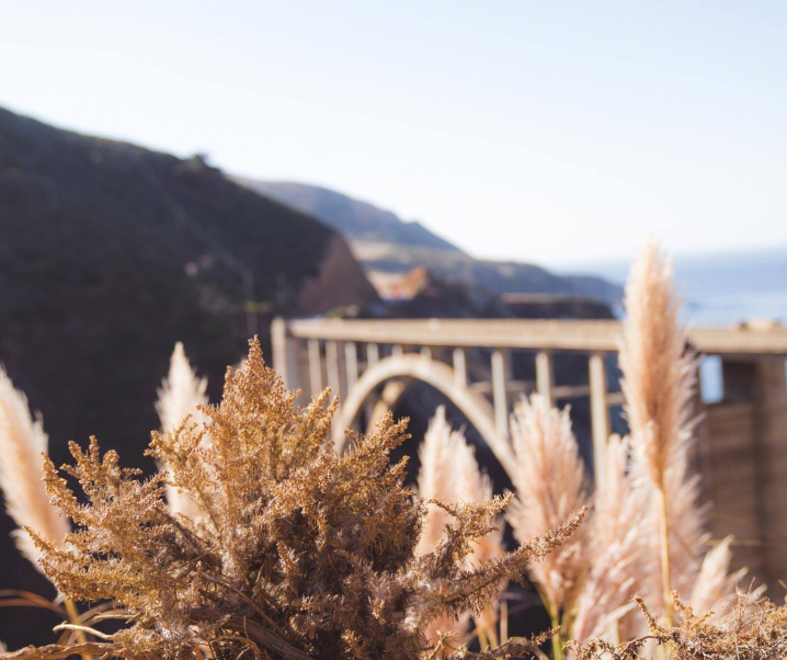 Why do people want us to be successful, but not too successful?