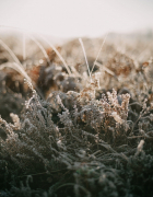 How to spend the day in Chelmsford: The ultimate guide