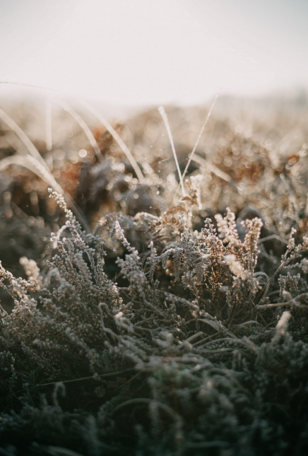 Let’s talk about people who pretend to like things they don’t actually like