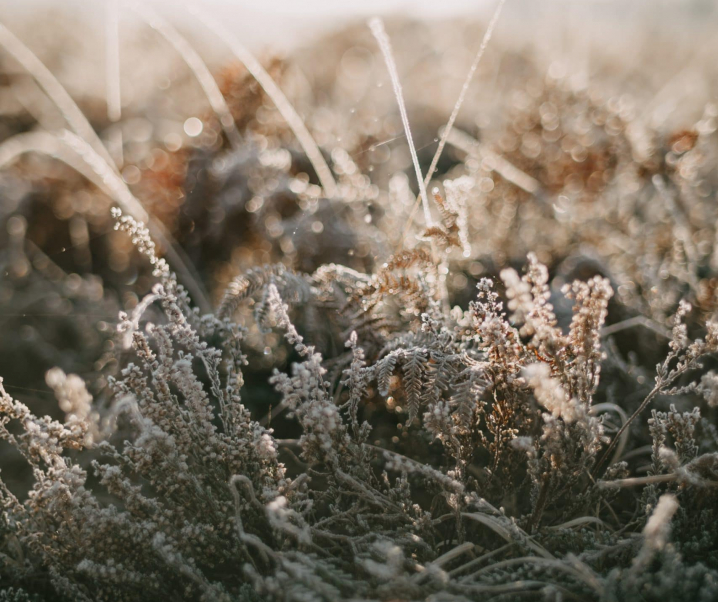 Let’s talk about people who pretend to like things they don’t actually like