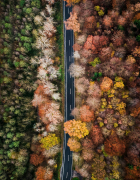 Parenting in the age of social media is a minefield