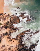 Are Adanola leggings really worth the hype?