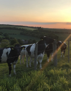 How to rediscover who you are after having children