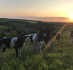 How to spend the day in Sevenoaks: The ultimate guide