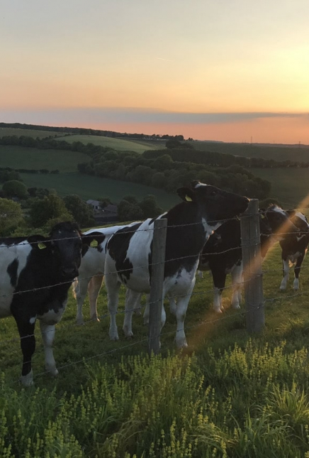 How to spend the day in Sevenoaks: The ultimate guide