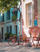 Things I’ve discovered as a beginner gardener