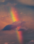 Here’s what I’d be buying from the pre-spring collections if I wasn’t so pregnant