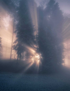 Let’s talk about the Serendipity Mindset